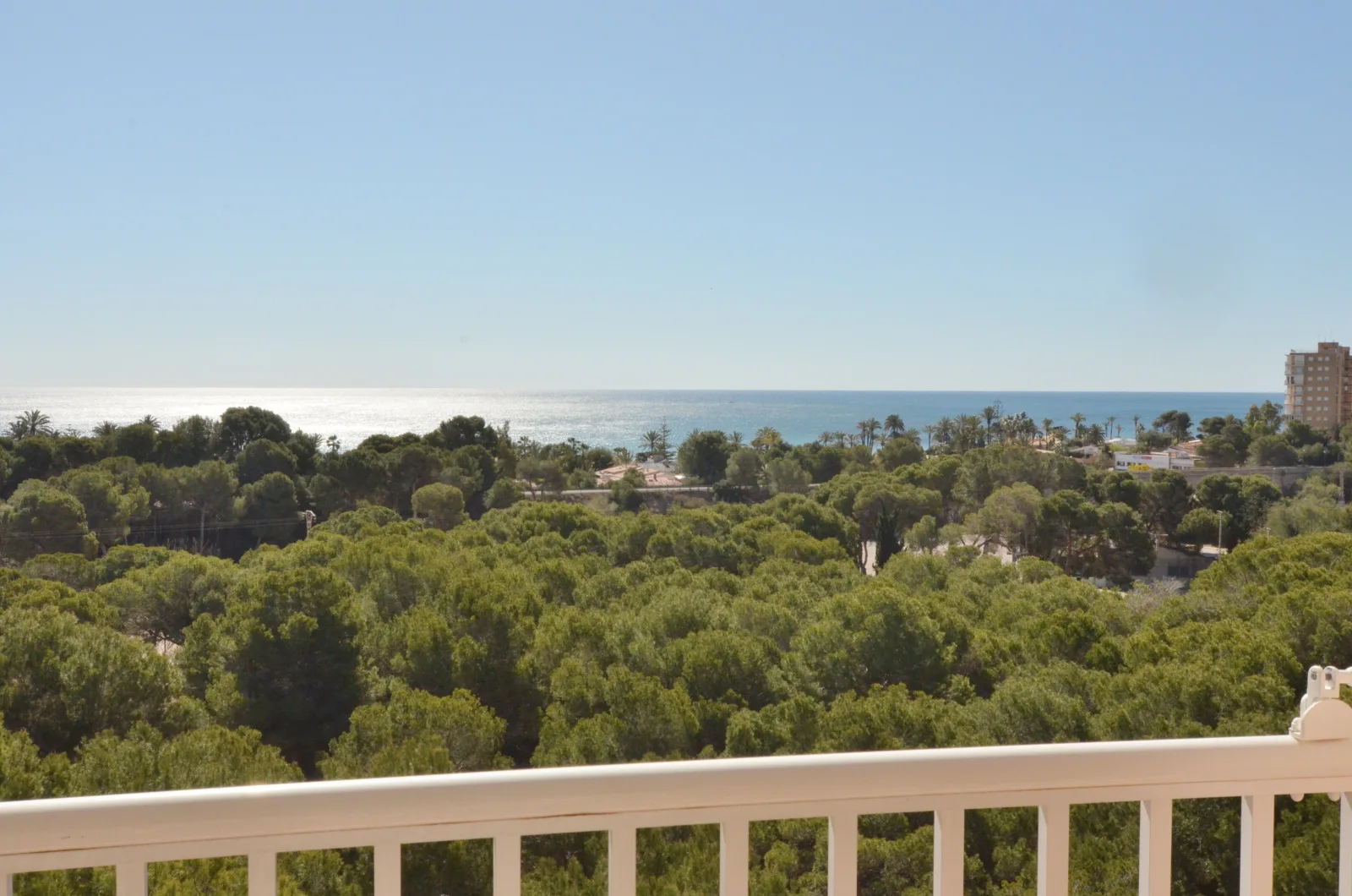 APARTAMENTO.CAMPOAMOR.011.jpg