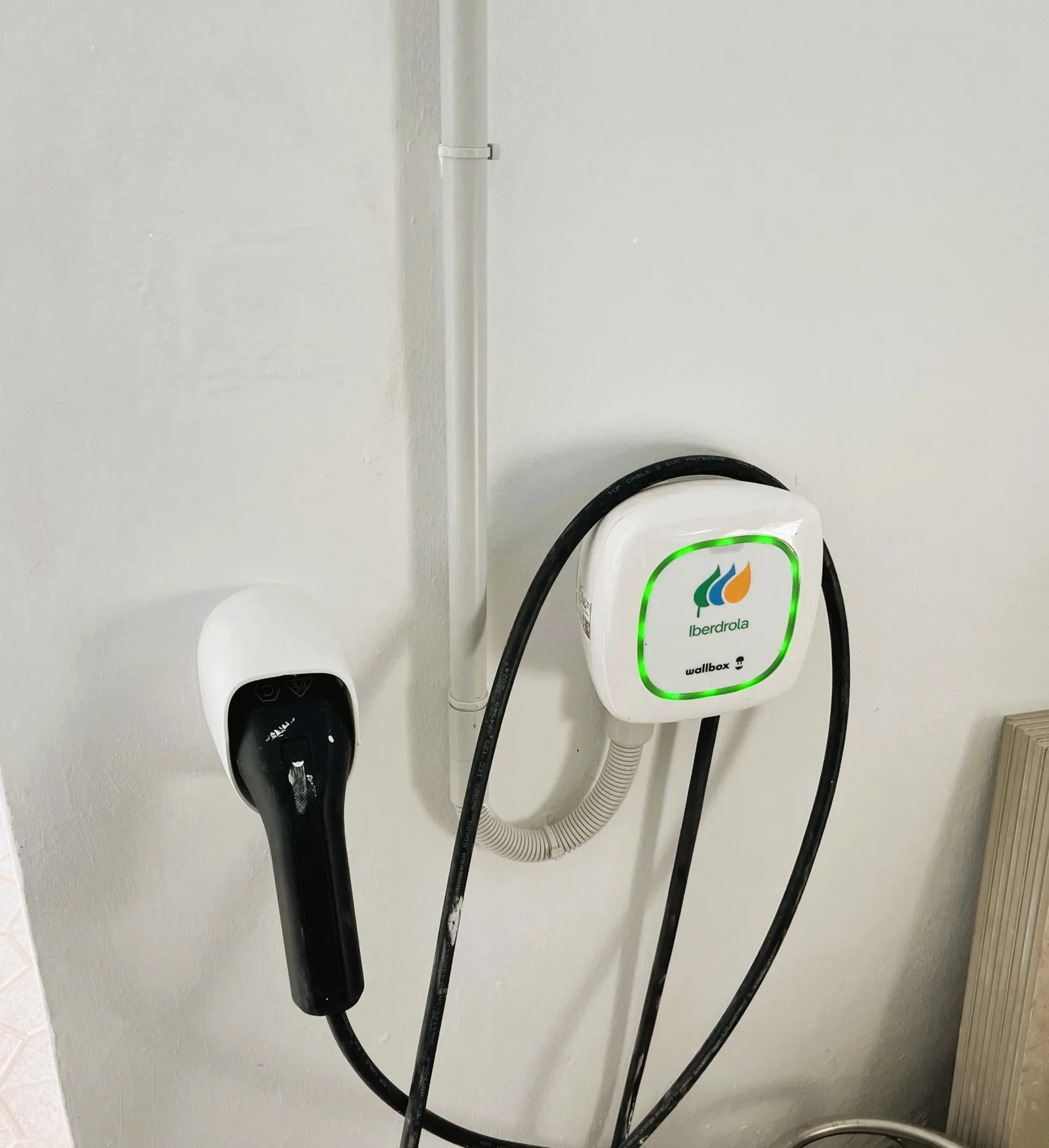 MORENO.SCHMIDT.CAMPOAMOR.M.134.024-21