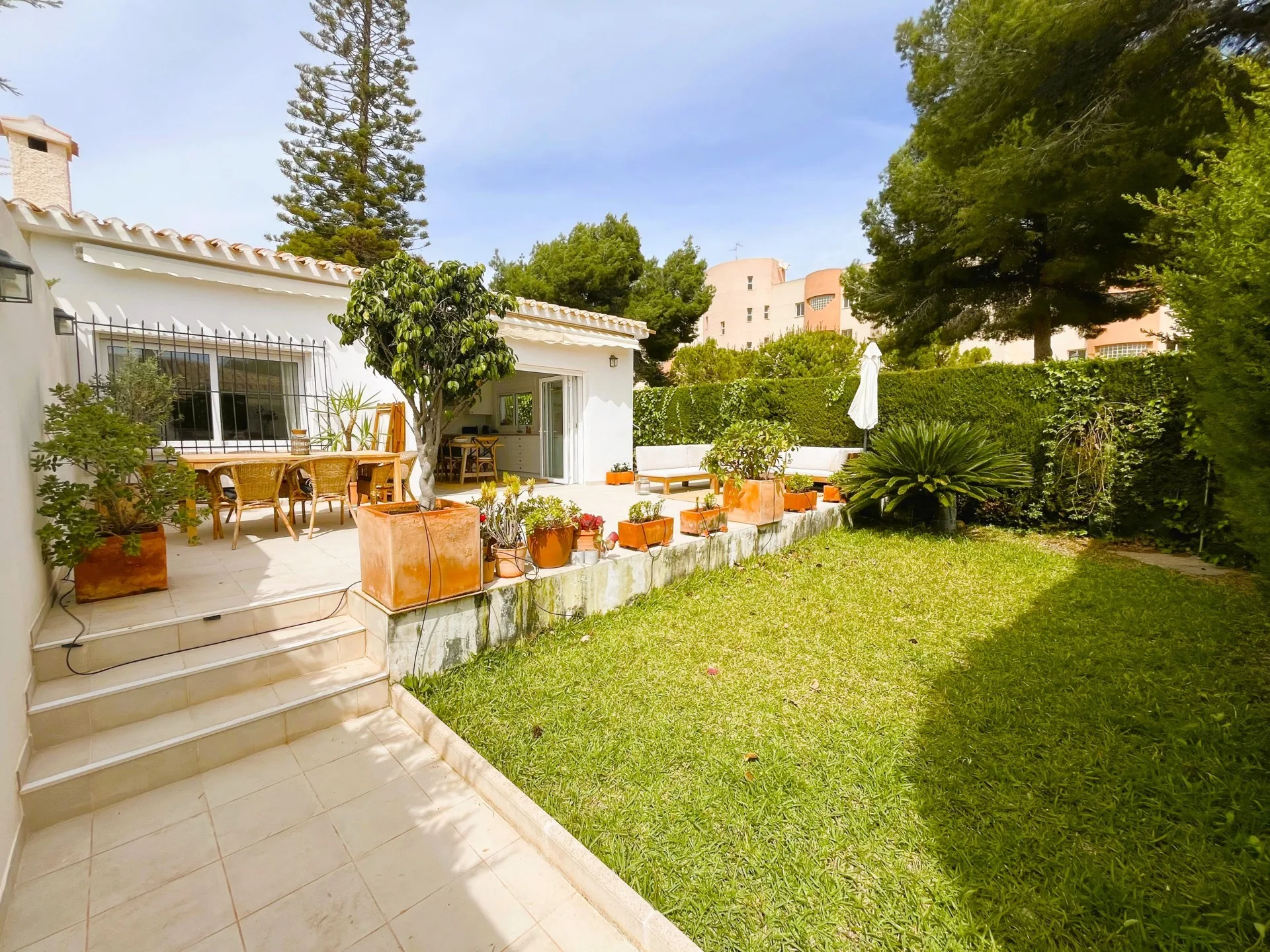 MORENO.SCHMIDT.CAMPOAMOR.M.156.001-24