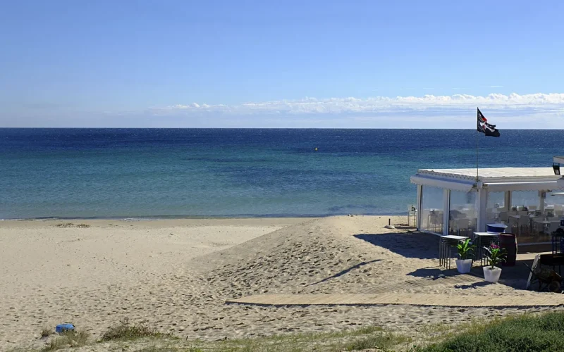 zona de playa o turismo de mil palmeras