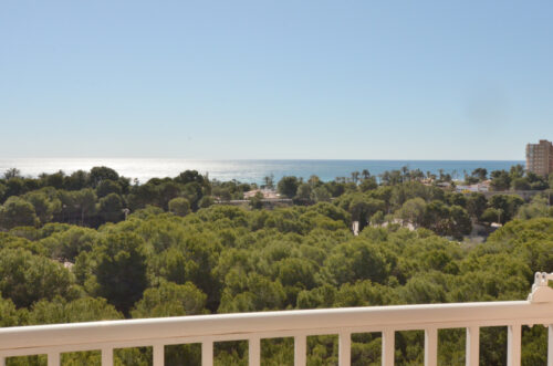 APARTAMENTO.CAMPOAMOR.011..JPG